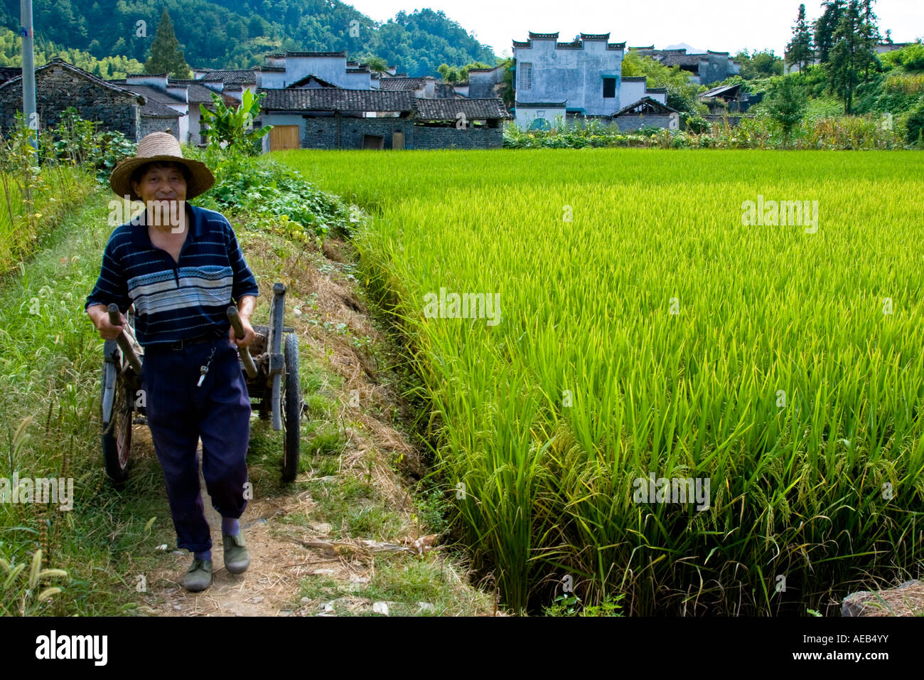 L'agricoltore cinese tirando un carrello in antico stile Huizhou Villaggio Cinese Xidi Cina Foto Stock