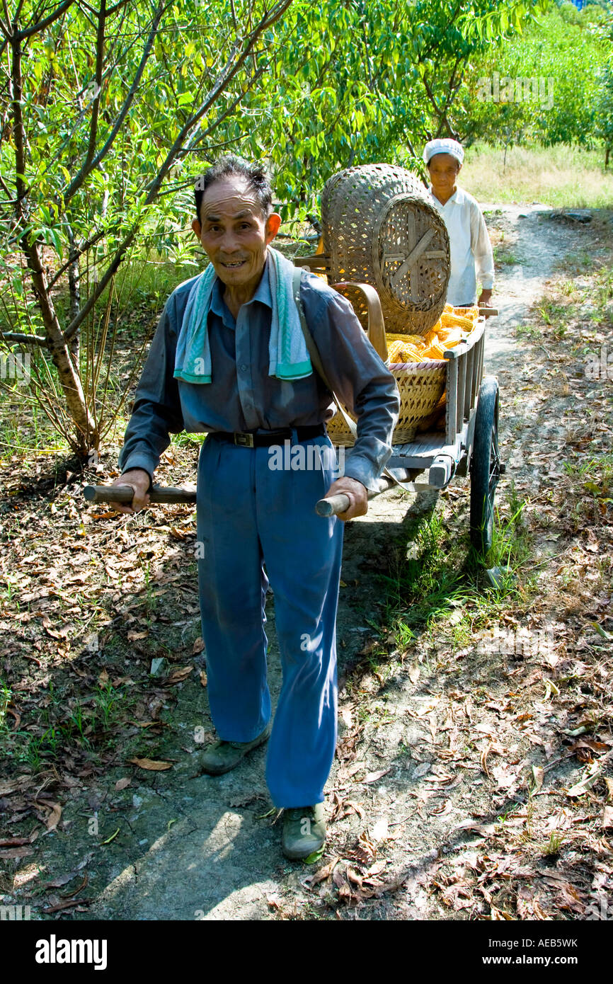 Il vecchio gli agricoltori spingere il carrello carico di mais Huizhou antico stile villaggio cinese Xidi Cina Foto Stock