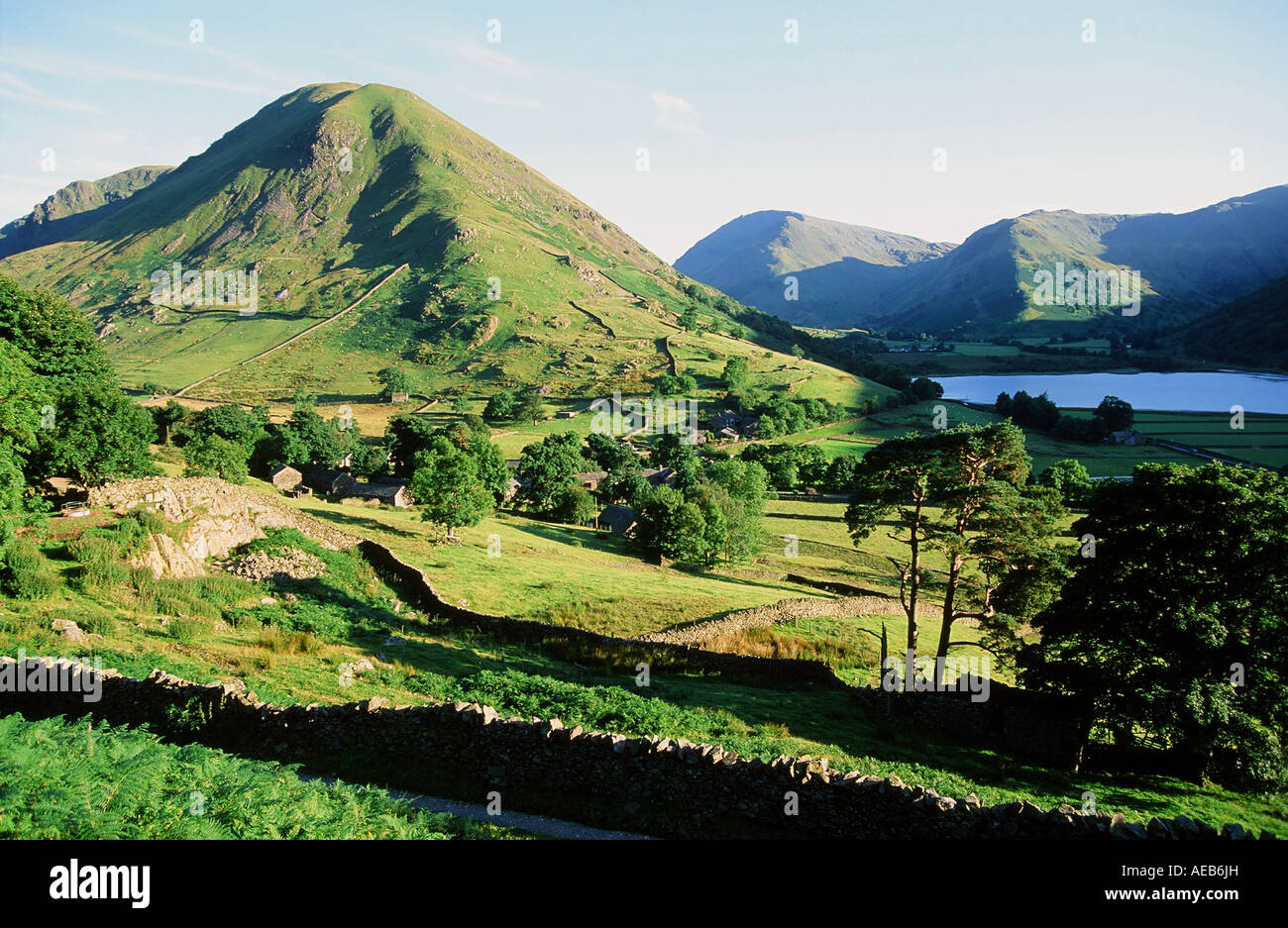 Hartsop Dodd, Hartsop, Patterdale, Parco Nazionale del Distretto dei Laghi, REGNO UNITO Foto Stock