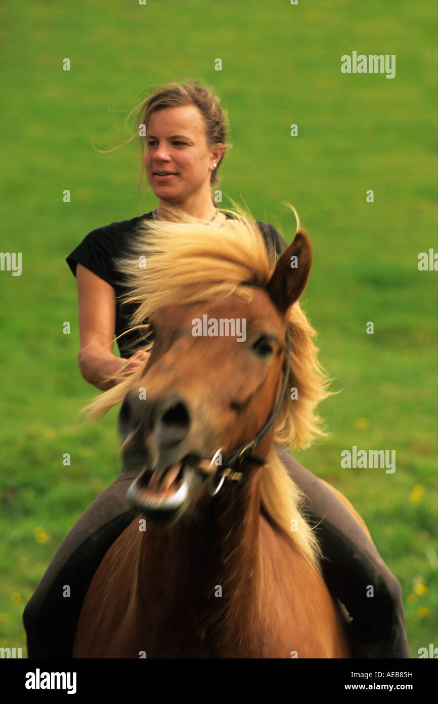 Islanda Geysir, Donna andare a cavallo cavallo islandese Foto Stock
