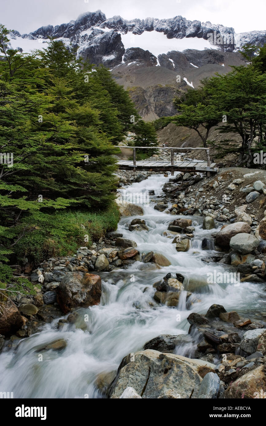 Ruscello di montagna Tierra Del Fuego Argentina America del Sud Foto Stock