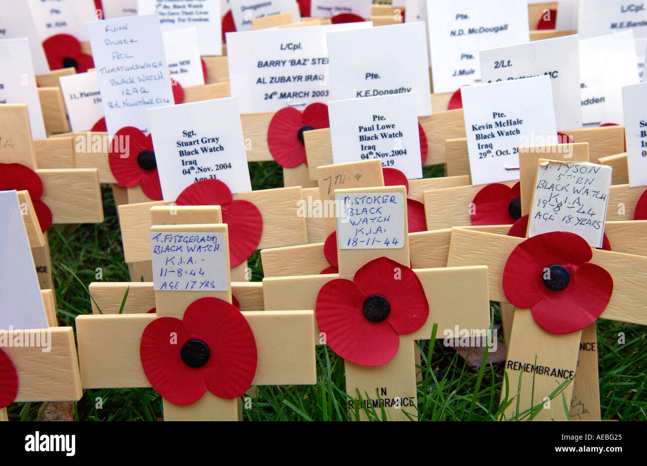 Croci e di papavero nel campo del ricordo presso l Abbazia di Westminster per commemorare i morti in battaglia Foto Stock