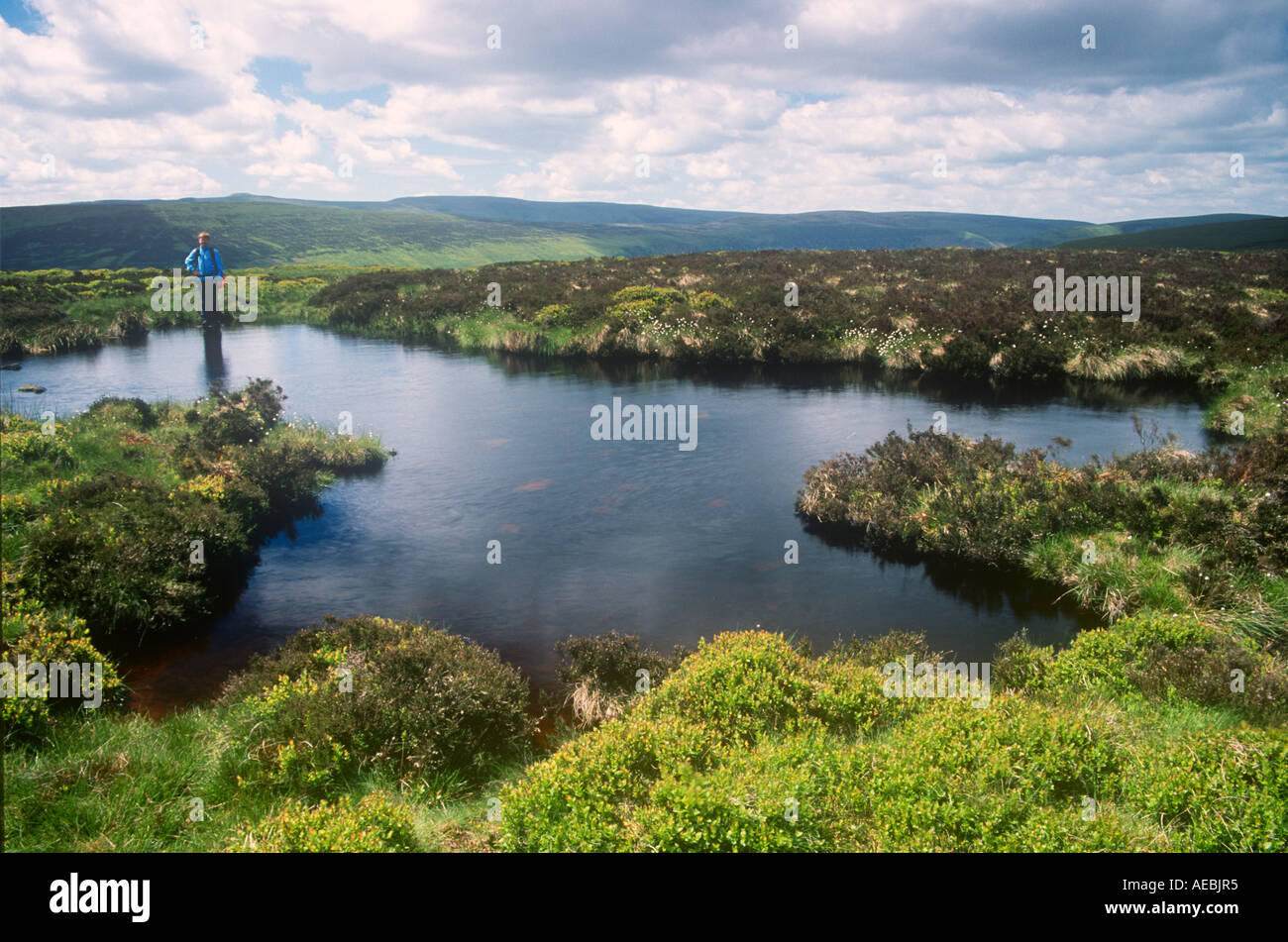 Ridge il Lago Superiore Offa s Dyke percorso nei pressi di Llanthony Vale of Ewyas Montagna Nera Brecon Beacons il Galles Centrale Foto Stock