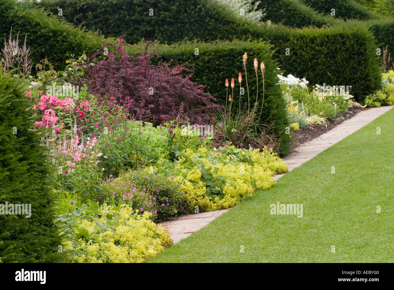 Impianti di confine nel giardino alla RHS Garden Hyde Hall Essex REGNO UNITO Foto Stock