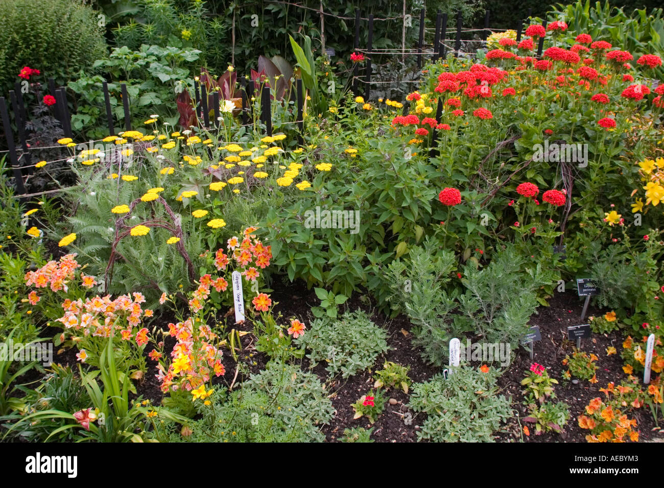 Impianti di confine ad RHS Garden Hyde Hall Essex REGNO UNITO Foto Stock