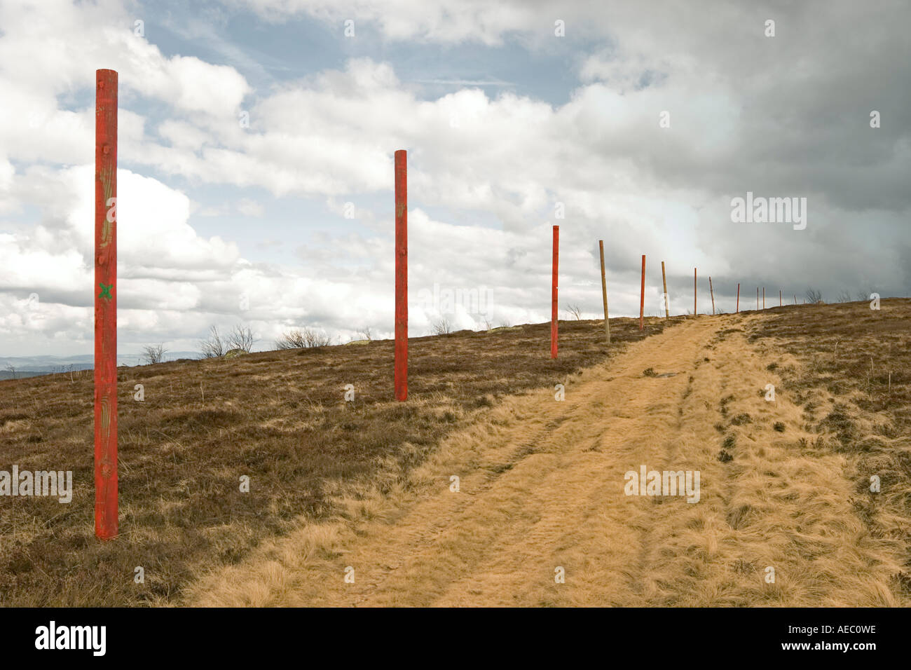 Post-rigato via (Puy de Dôme - Francia). Chemin bordé de poteaux peints en rouge (Puy de Dôme - Francia). Foto Stock