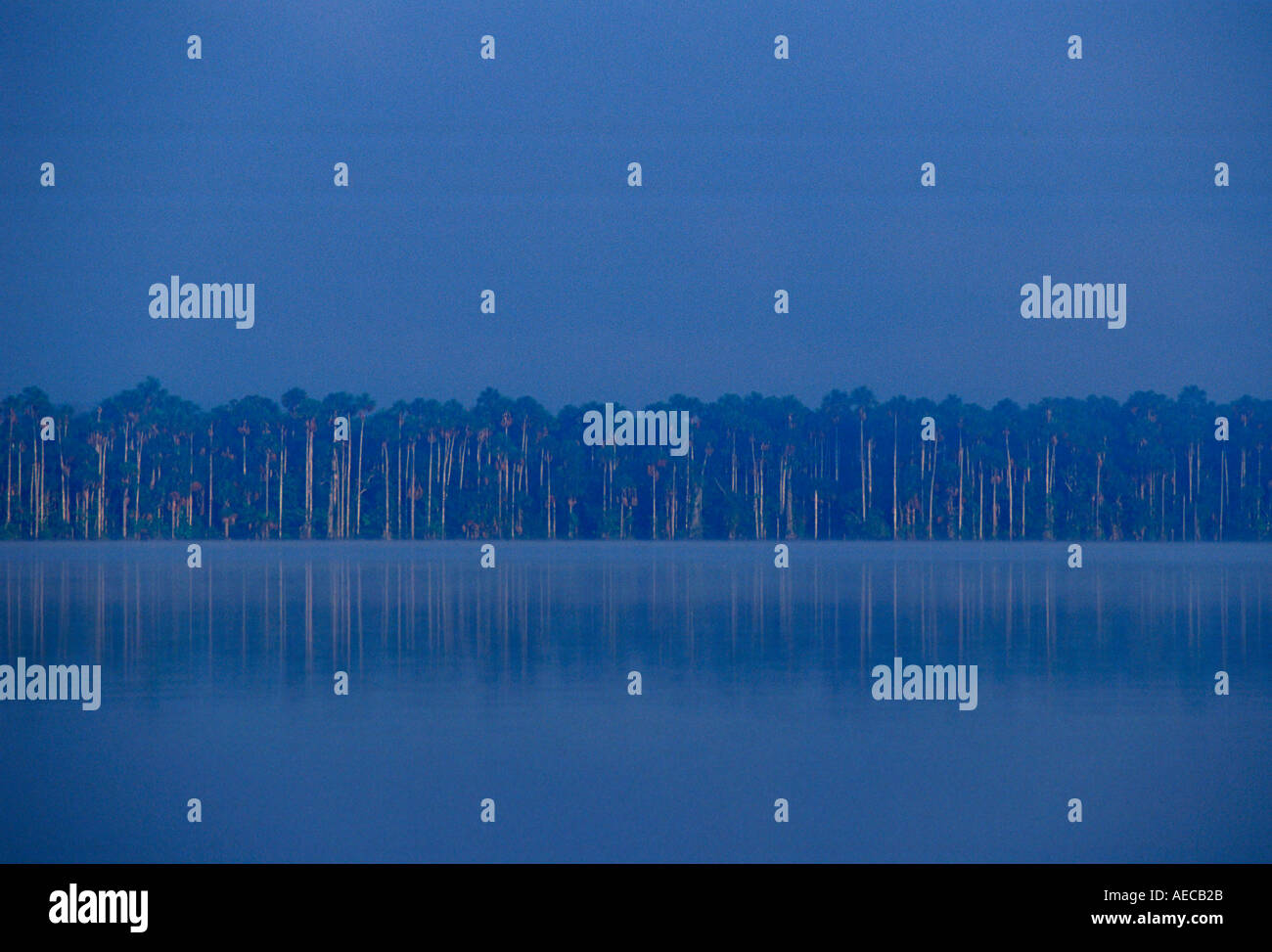 Lago Sandoval protetto zona riservata Tambopata foresta pluviale peruviana Perù Sud America Foto Stock
