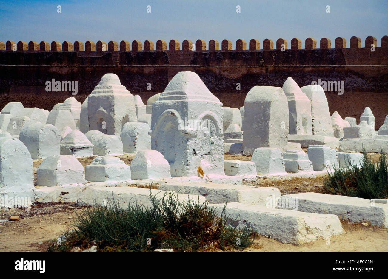 Kairouan Tunisia Grande moschea e cimitero musulmano Foto Stock