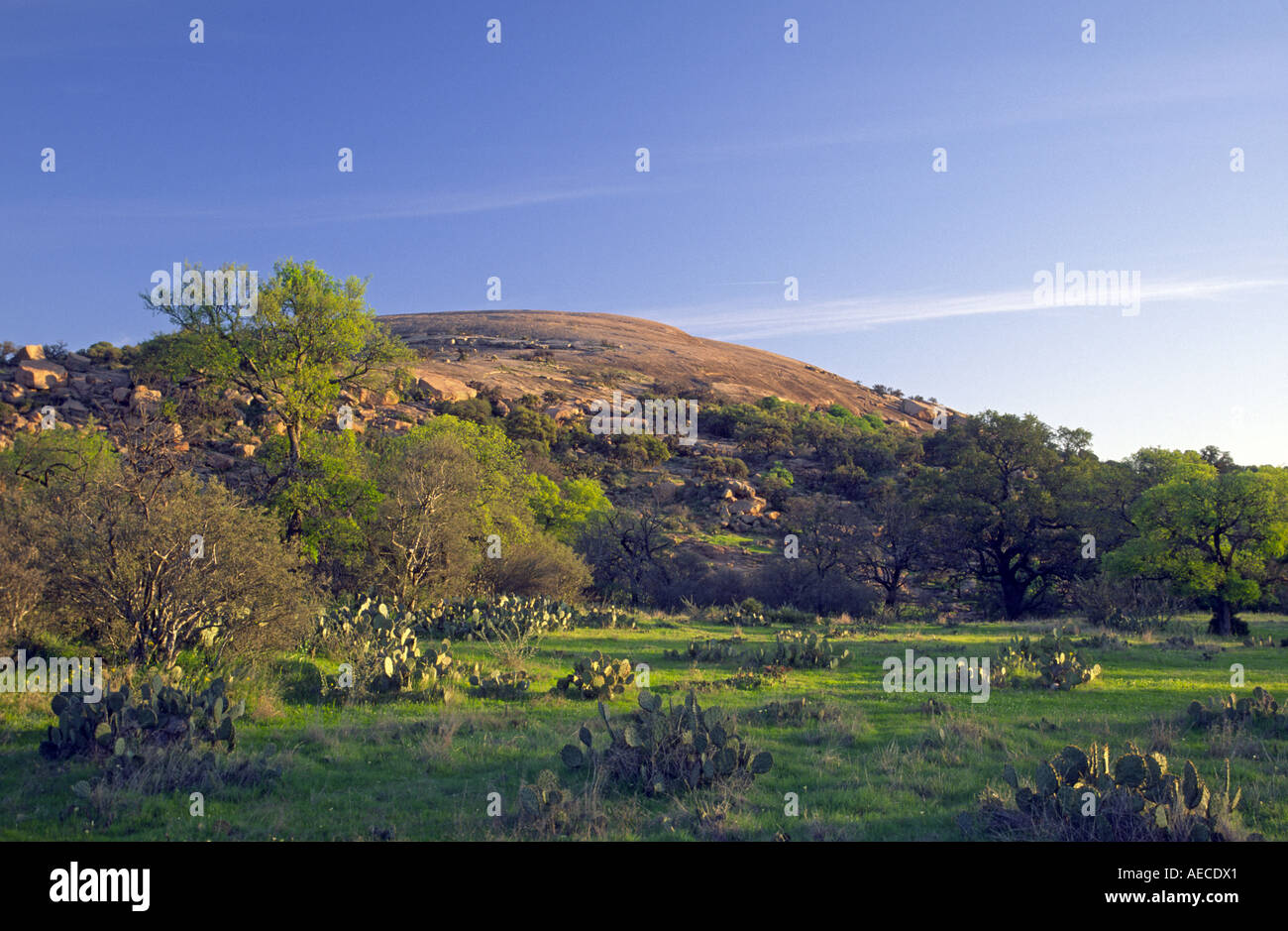 Cupola di granito di roccia incantata di sunrise nel paese collinare nei pressi di Fredericksburg, Texas, Stati Uniti d'America Foto Stock