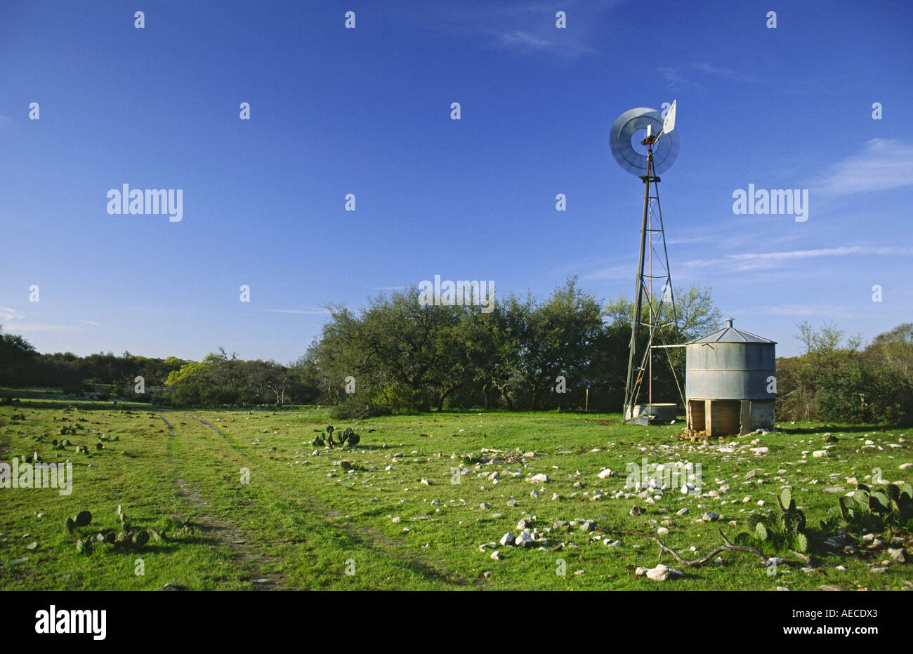 Pompa del vento Aermotor in Hill Country vicino a Enchanted Rock, Texas, Stati Uniti Foto Stock