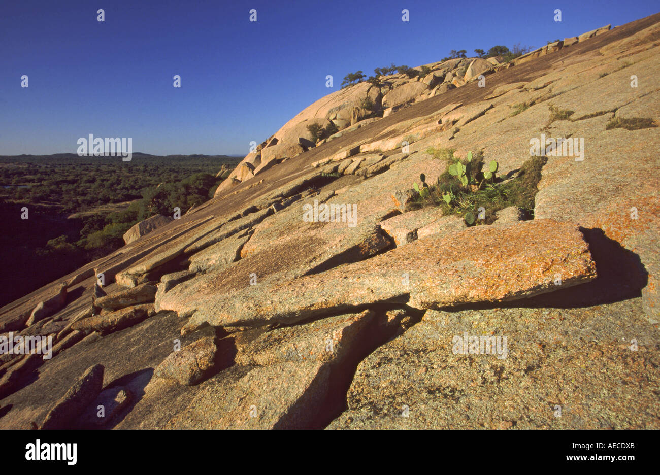 Sfogliate gli strati di granito a Cupola della Roccia incantata nel paese collinare nei pressi di Fredericksburg, Texas, Stati Uniti d'America Foto Stock