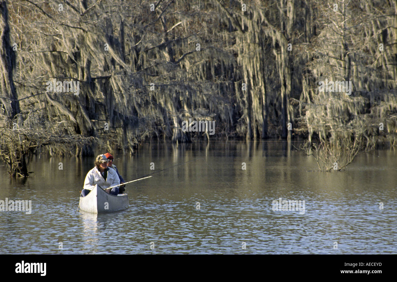 Canoa al laghetto del mulino, cipresso calvo alberi, inverno, Caddo Lake State Park, Texas, Stati Uniti d'America Foto Stock