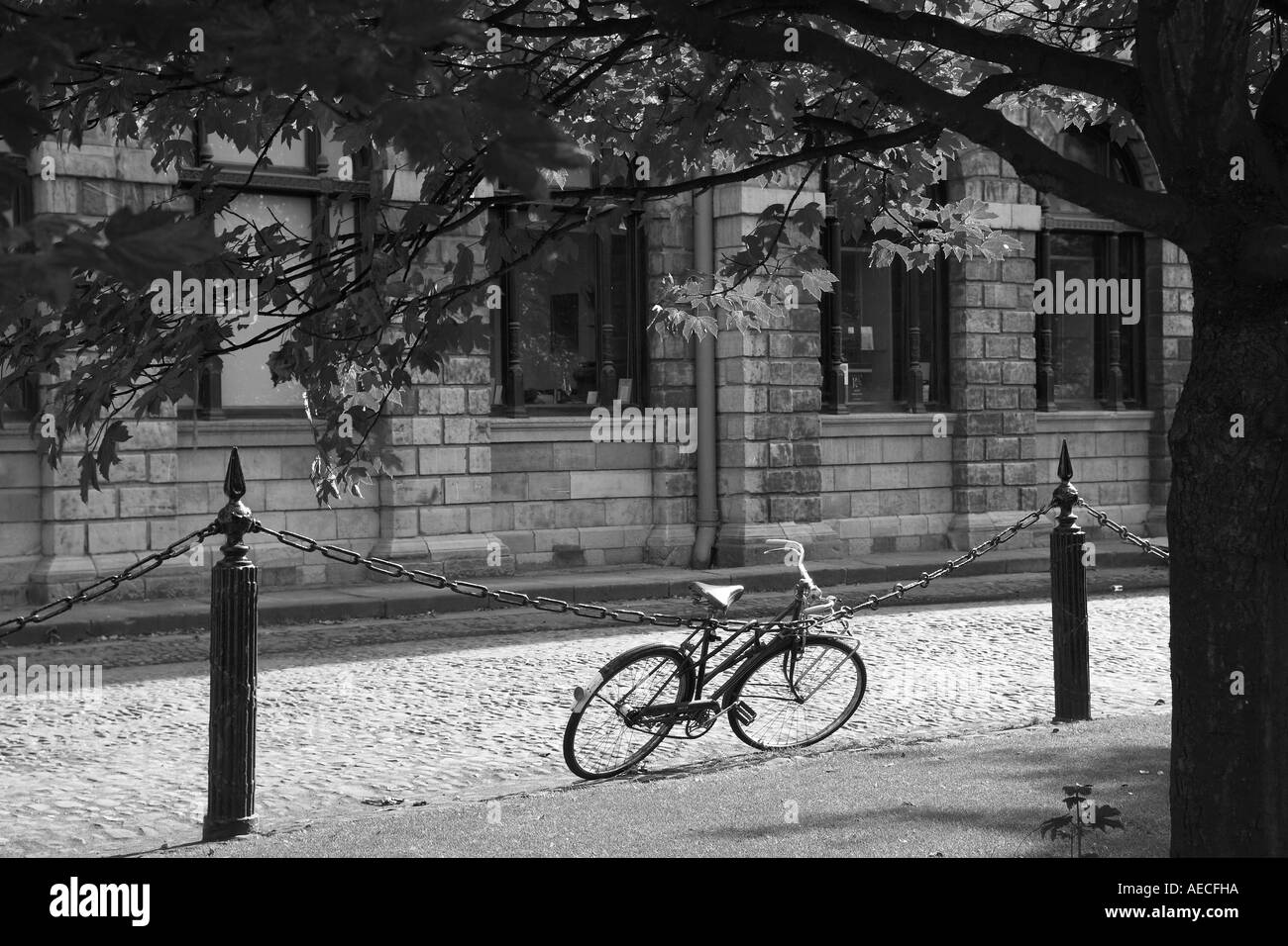 Il Trinity College di Dublino Università Irlanda Foto Stock