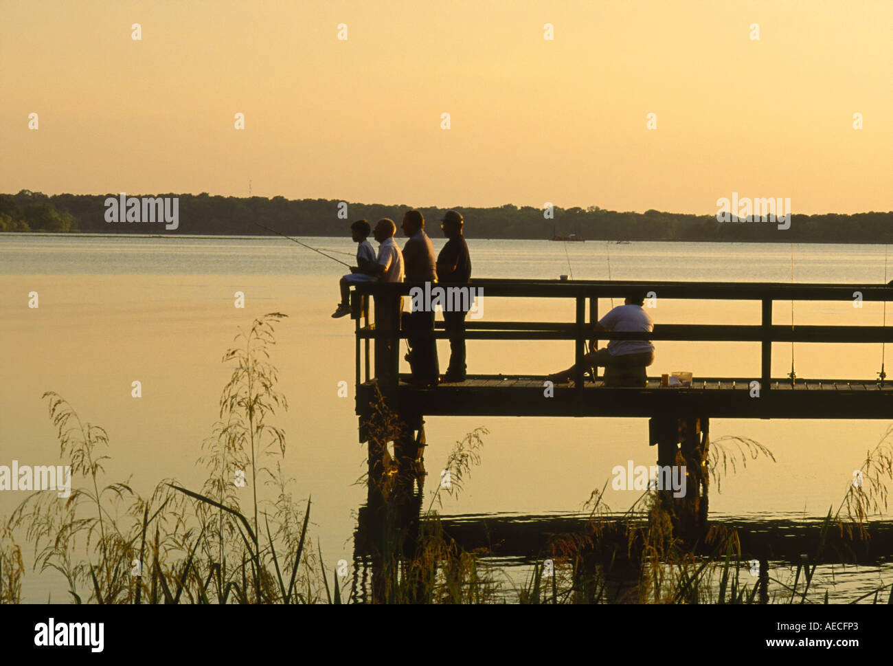 La pesca del molo al tramonto, il Lago di Fort Parker, State Park, Texas, Stati Uniti d'America Foto Stock