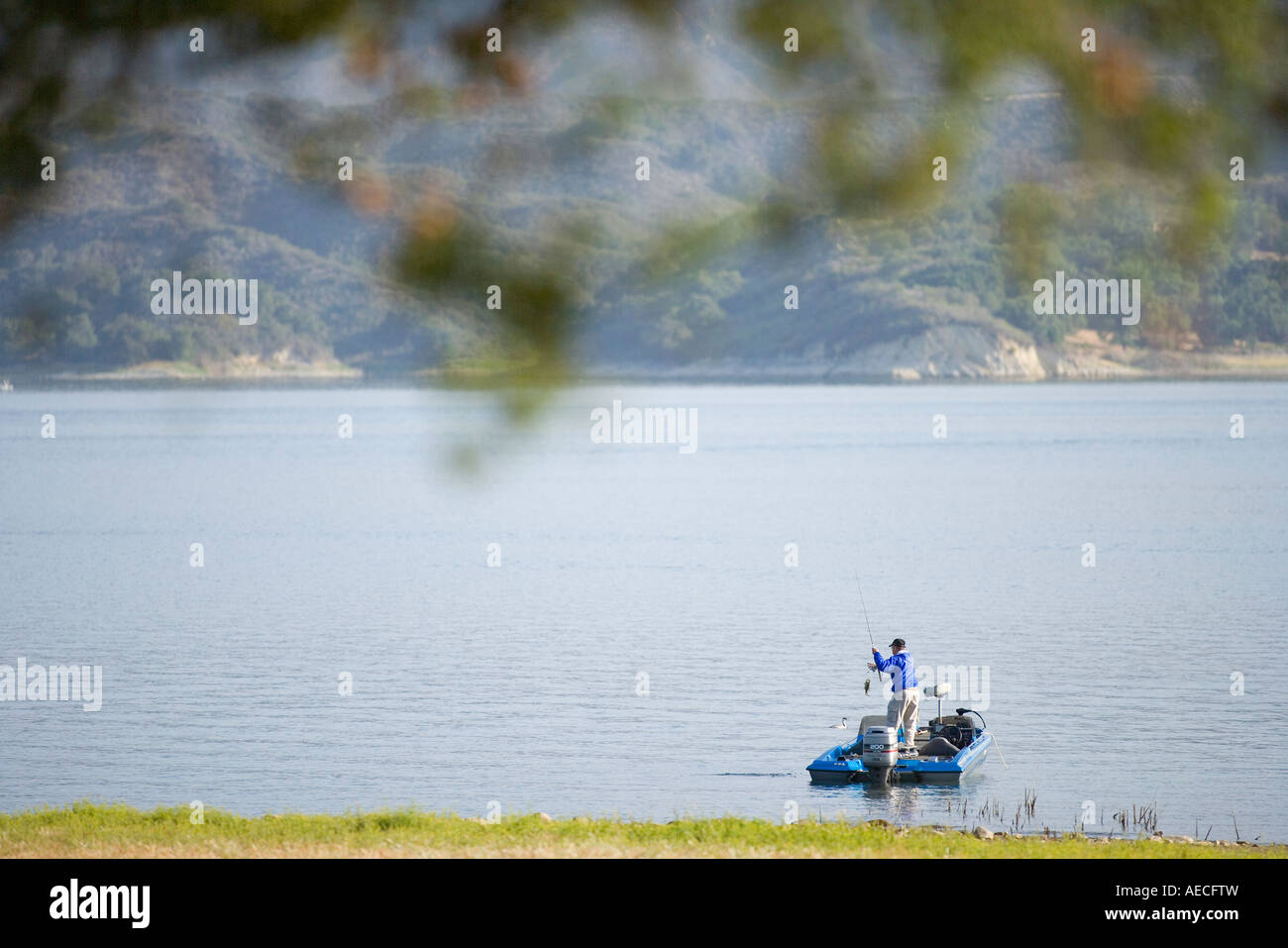 Bass pesca Lago Cachuma Santa Ynez Valley California USA Foto Stock