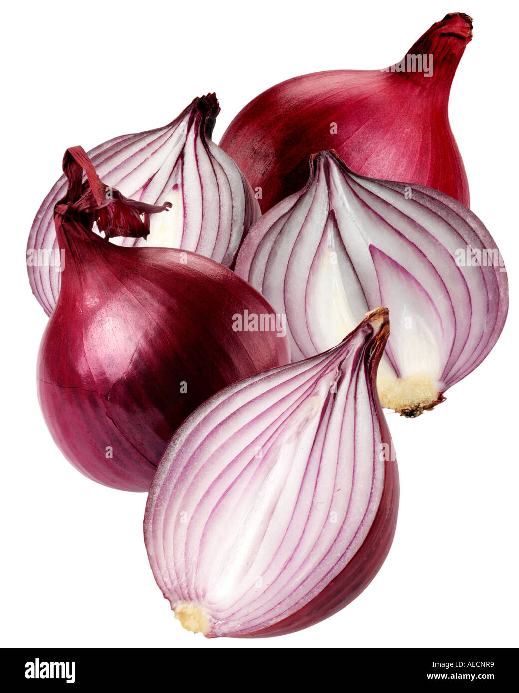 Cipolla rossa tagliata Foto Stock