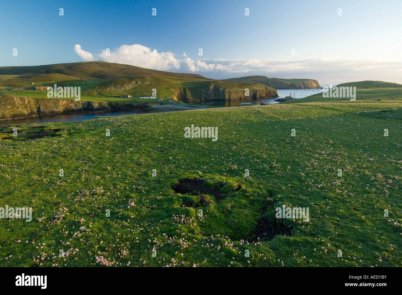 Paesaggio di Fair Isle (Shetland, Regno Unito) Foto Stock
