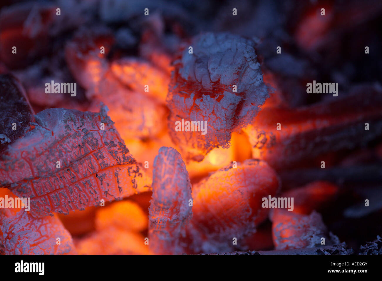 Un tizzone e ceneri dall'interno di un legno bruciando firepit Foto Stock