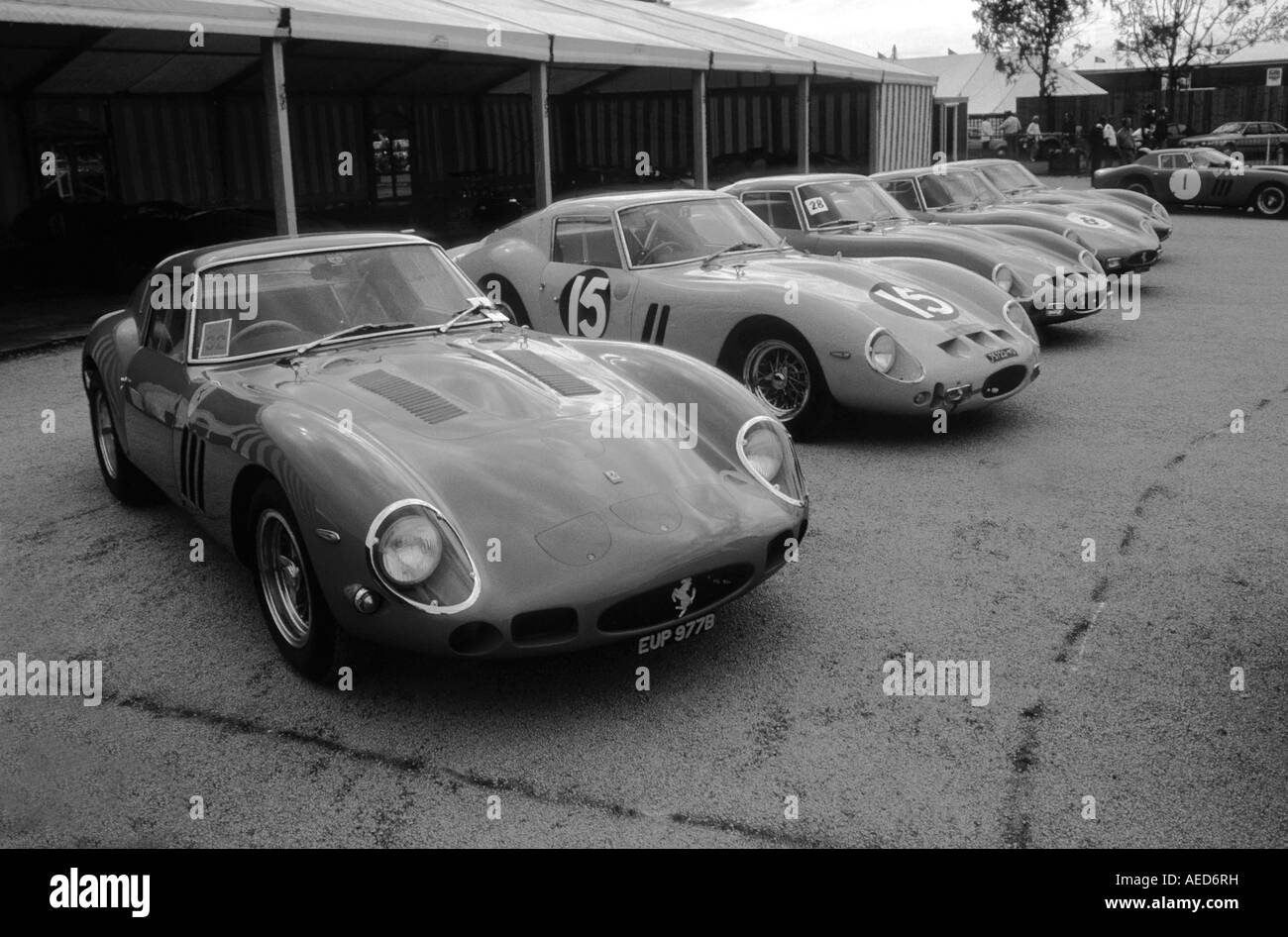 Ferrari 250 GTO Berlinetta. Introdotto 1962. Silverstone 25-07-1992. Foto Stock