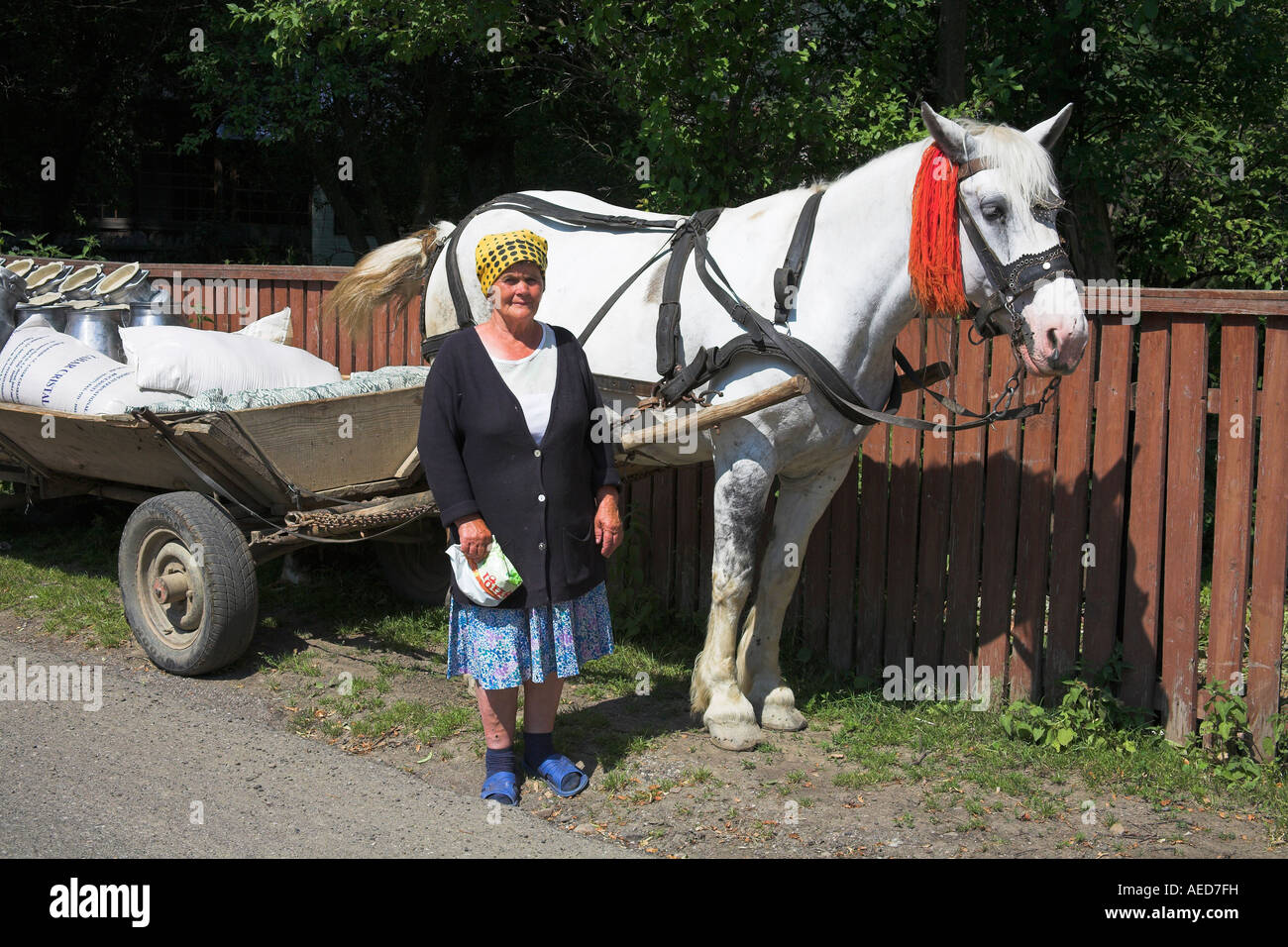 Agricoltore in piedi accanto a cavallo e carrello, Moldovita, Bucovina, Moldavia, Romania Foto Stock