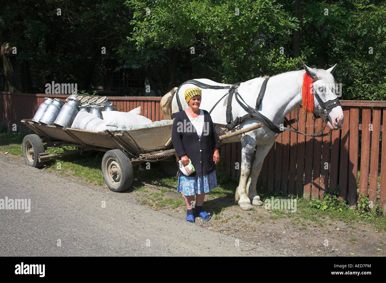 Agricoltore in piedi accanto a cavallo e carrello, Moldovita, Bucovina, Moldavia, Romania Foto Stock