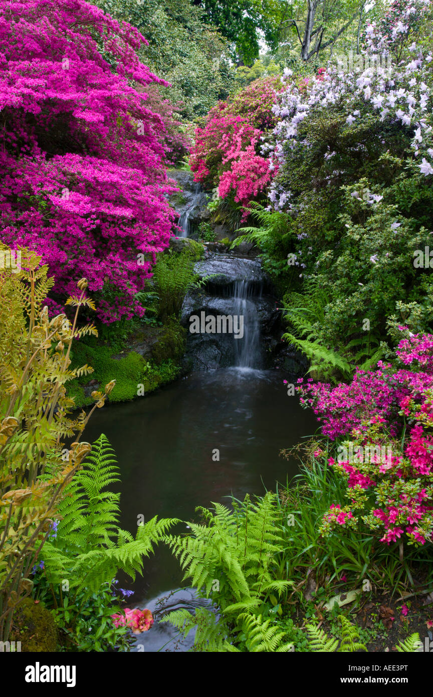 La molla a cascata Bodnant. Foto Stock