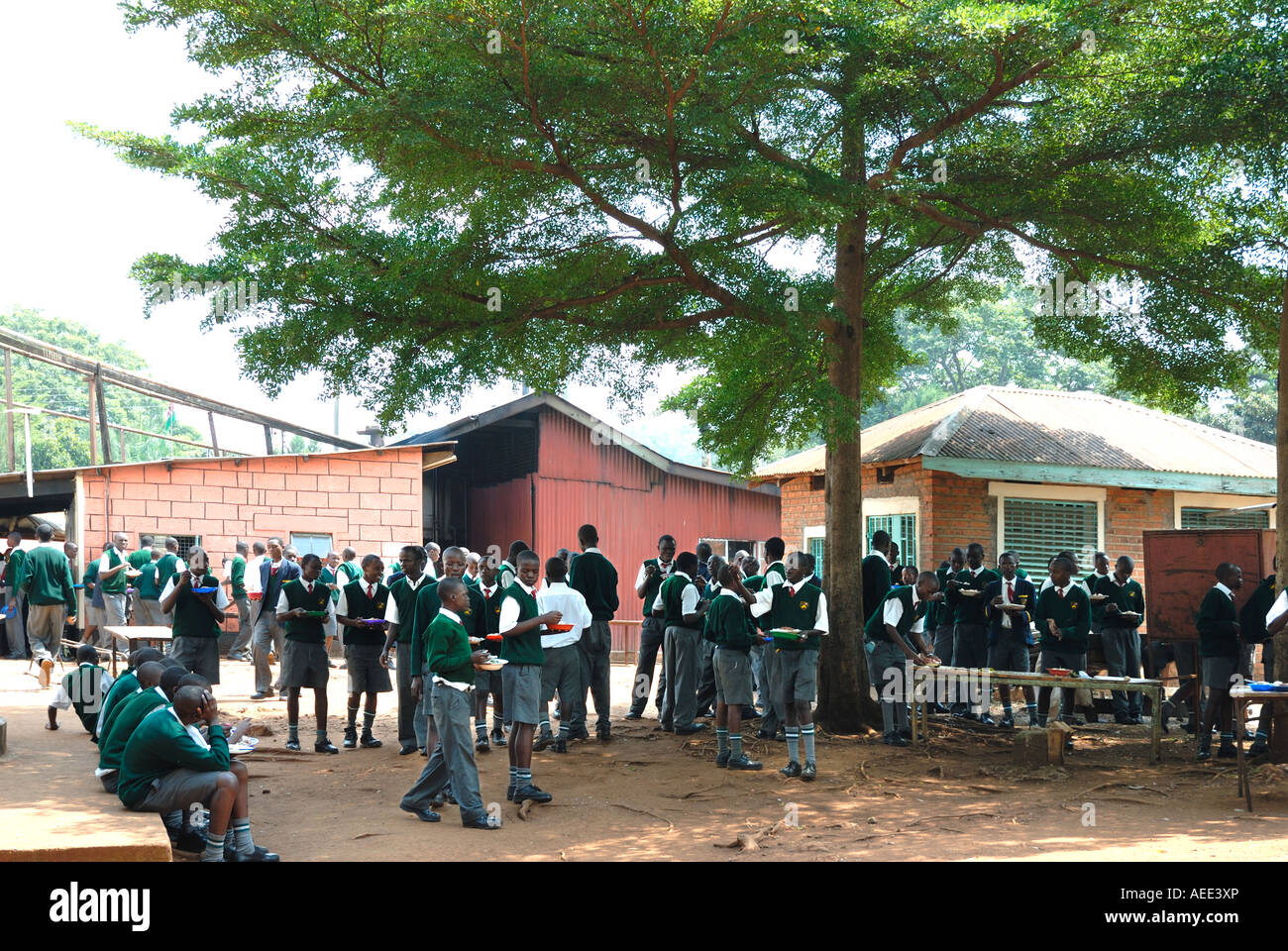 Un folto gruppo di studenti prendendo loro luch esterno sotto gli alberi a scuola Maseno Kenya Africa orientale Foto Stock