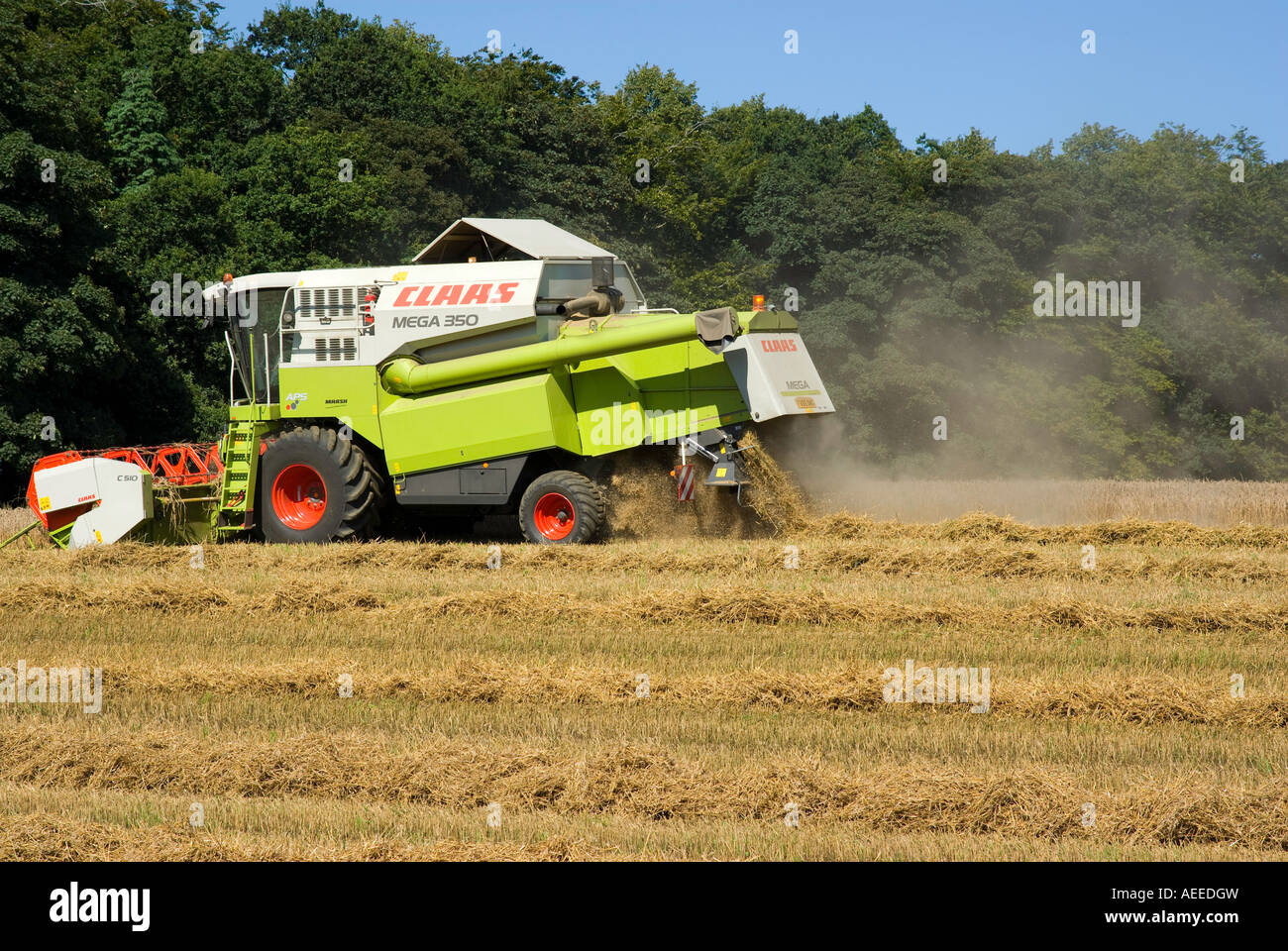 Mietitrebbia lavora sul campo Foto Stock