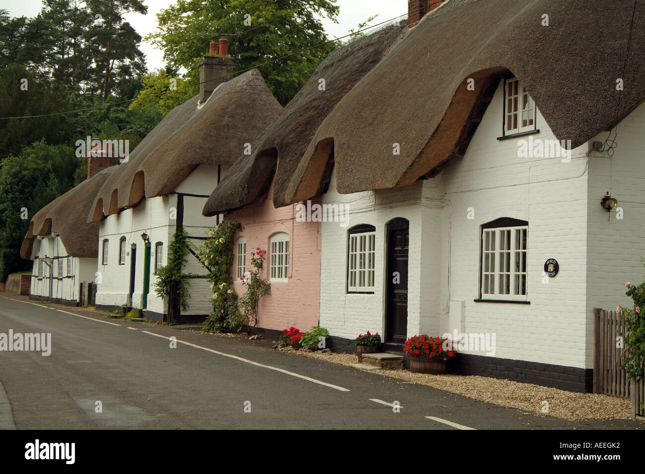 Fila di case dal tetto di paglia. Hampshire Southern England Regno Unito Foto Stock