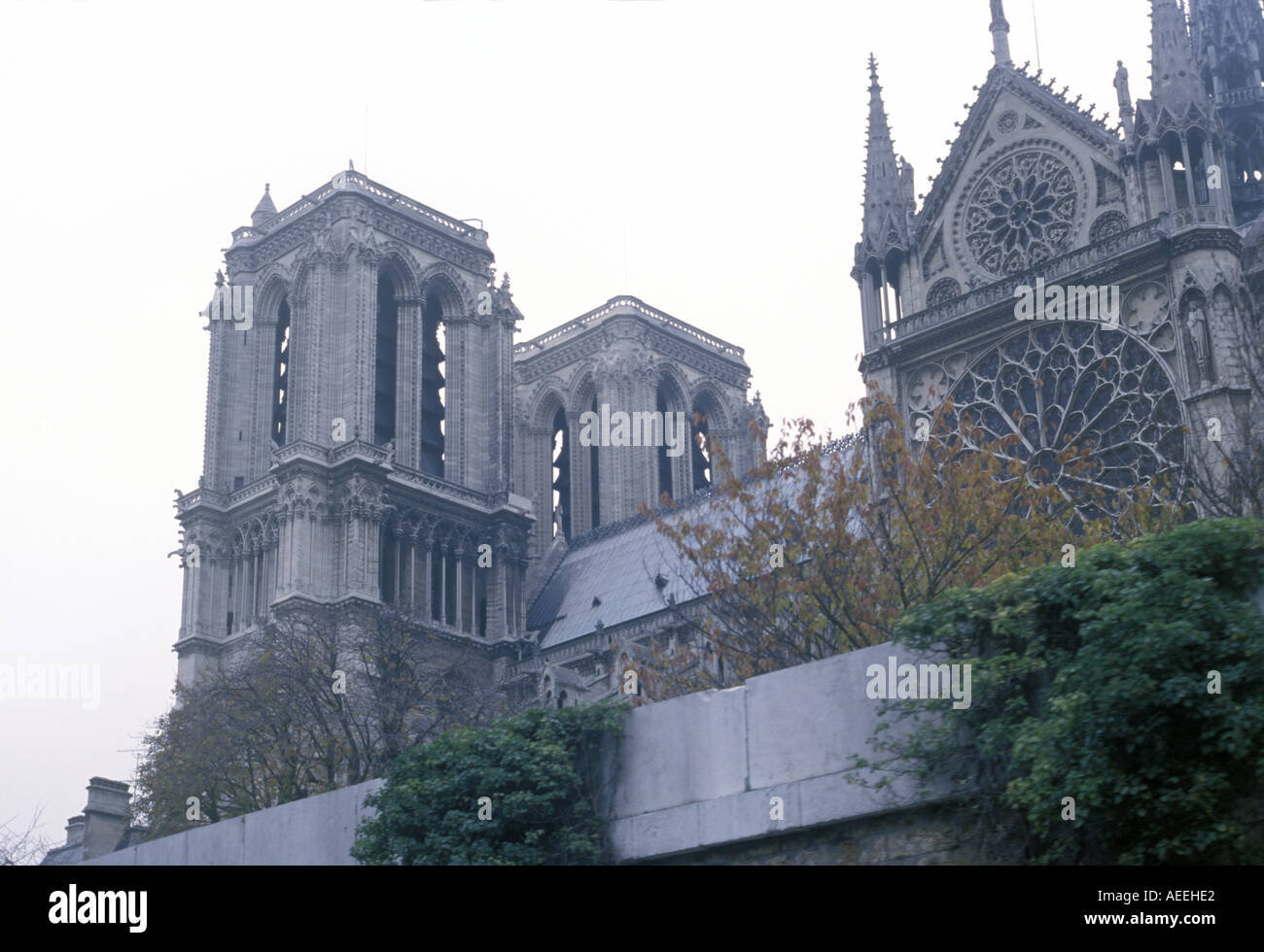 Una vista della cattedrale di Notre Dame, dal Fiume Senna a Parigi Francia prima alla devastante Aprile 15, 2019 fire. Foto Stock