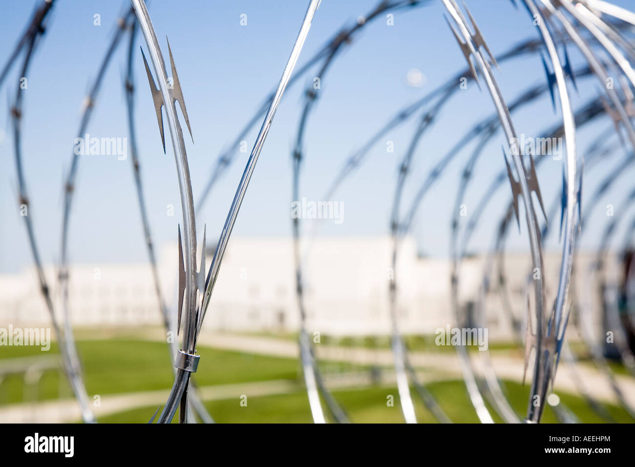 Close up di filo spinato filo di concertina prigione di massima sicurezza Foto Stock