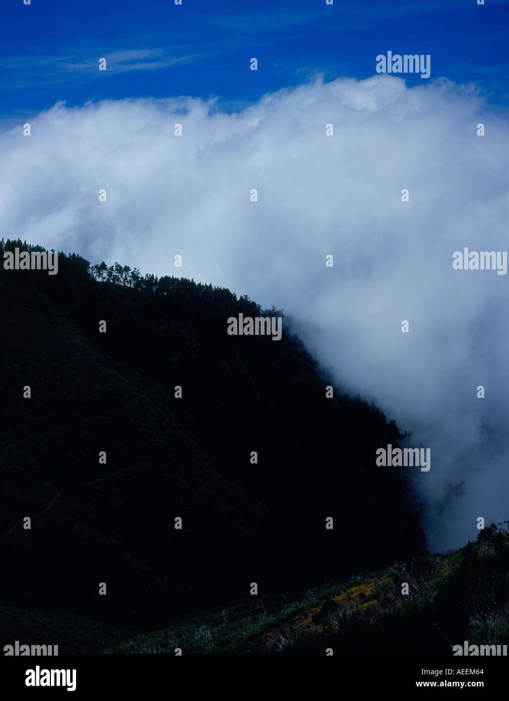 Commercio vento di nuvole a Paul da Serra Madeira Portogallo Europa. Foto di Willy Matheisl Foto Stock