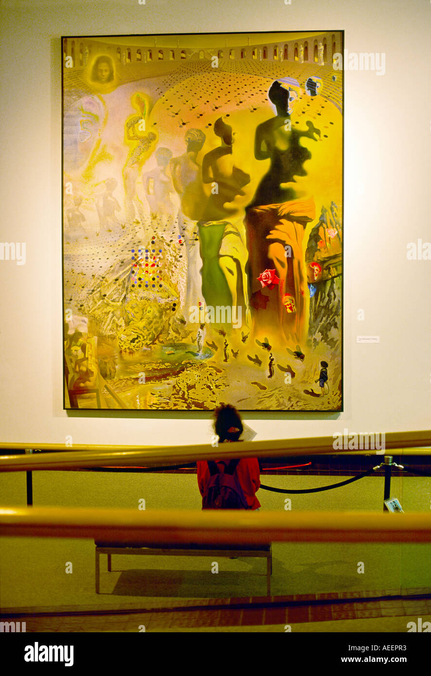 Salvador Dali Museum, San Pietroburgo, Florida, Stati Uniti d'America. Giovane donna visitatore visualizzazione guardando il dipinto nella gallery Foto Stock