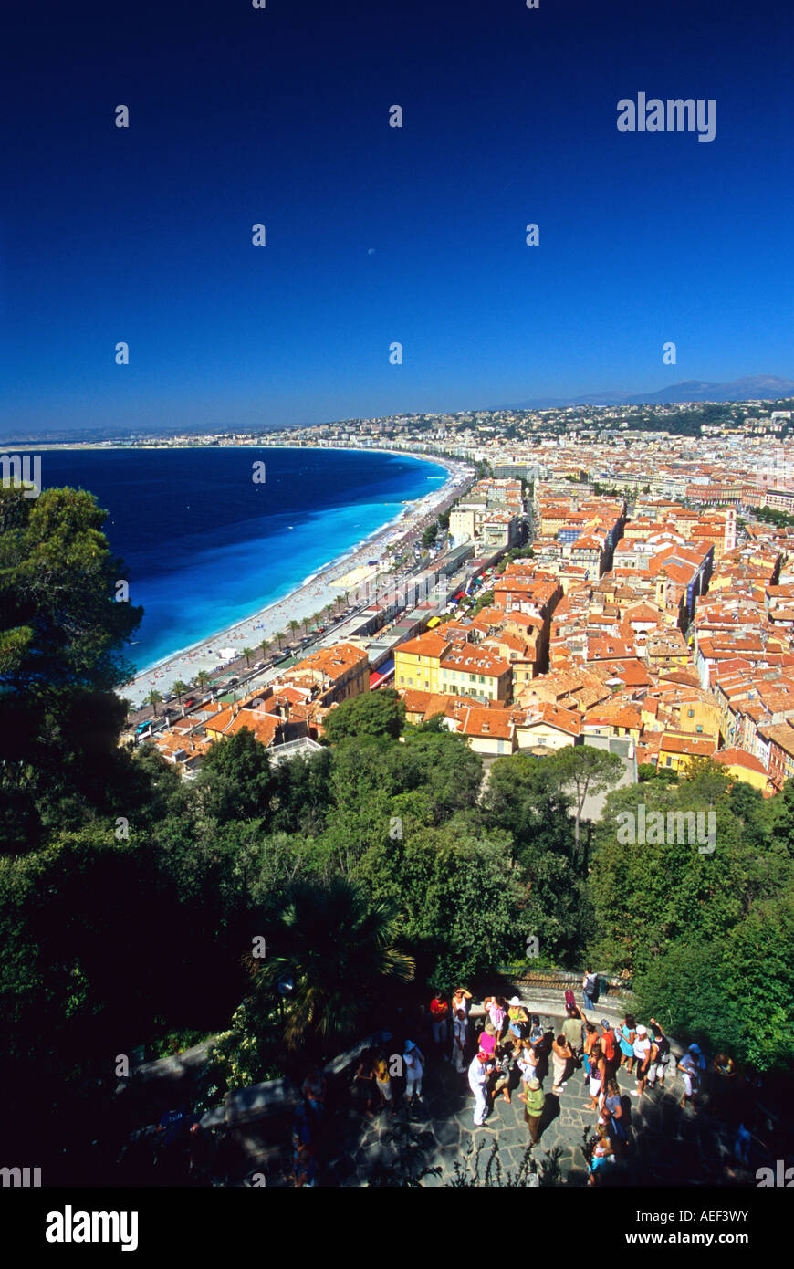Nizza Alpes-Maritimes 06 Cote d Azur Riviera francese PACA FRANCIA Foto Stock