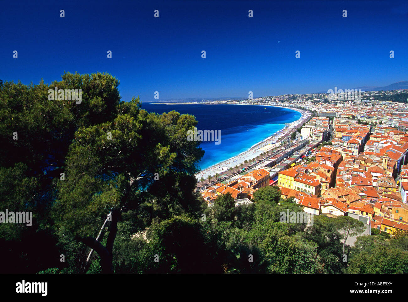 Nizza Alpes-Maritimes 06 Cote d Azur Riviera francese PACA FRANCIA Foto Stock