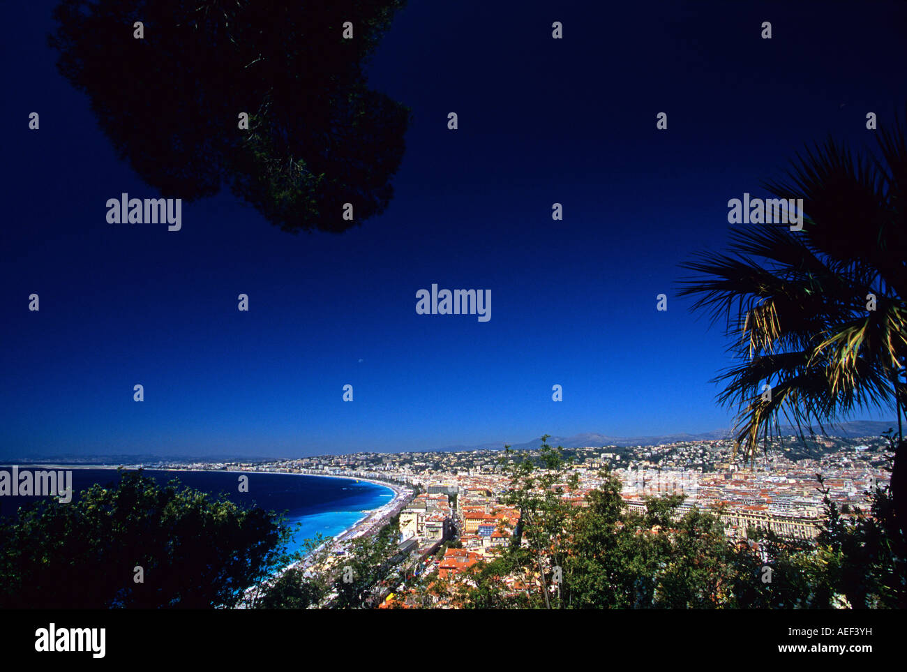Nizza Alpes-Maritimes 06 Cote d Azur Riviera francese PACA FRANCIA Foto Stock