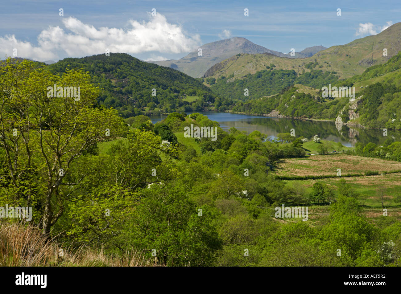 Llyn Gwynant in primavera nei pressi di Nantgwynant Snowdonia North West Wales Foto Stock