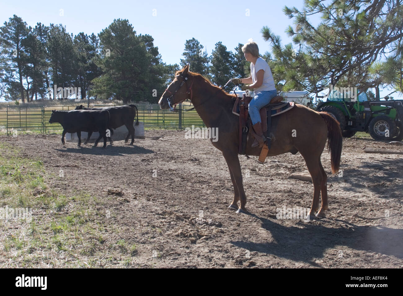 Ponderosa è un guest ranch dove le persone possono provare la loro mano a cowboy vivere. Il Nebraska, USA Occidentale. Foto Stock