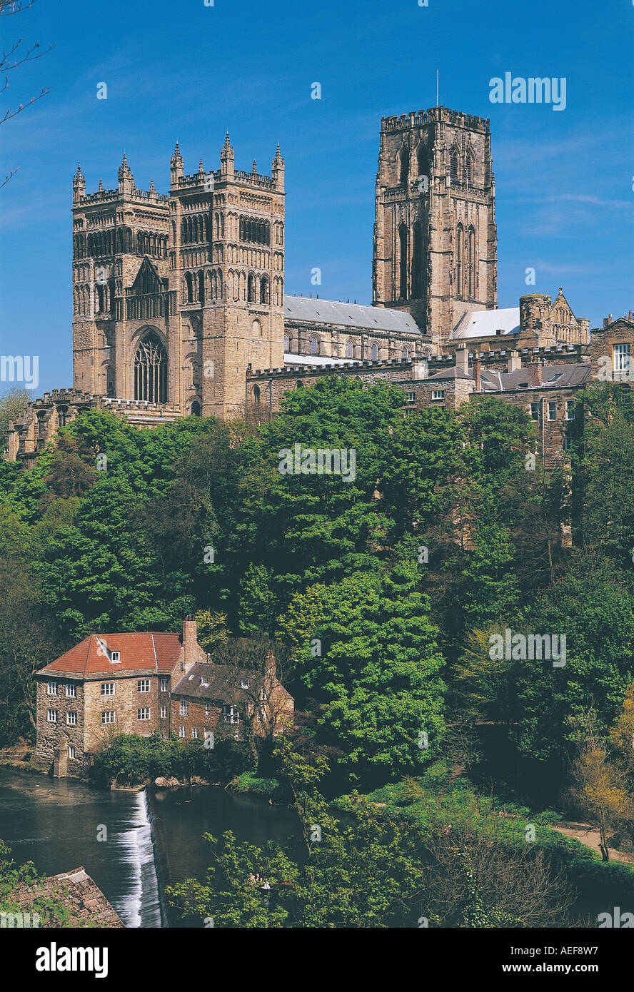 La Cattedrale di Durham e Fulling Mill, Durham City, Regno Unito Foto Stock
