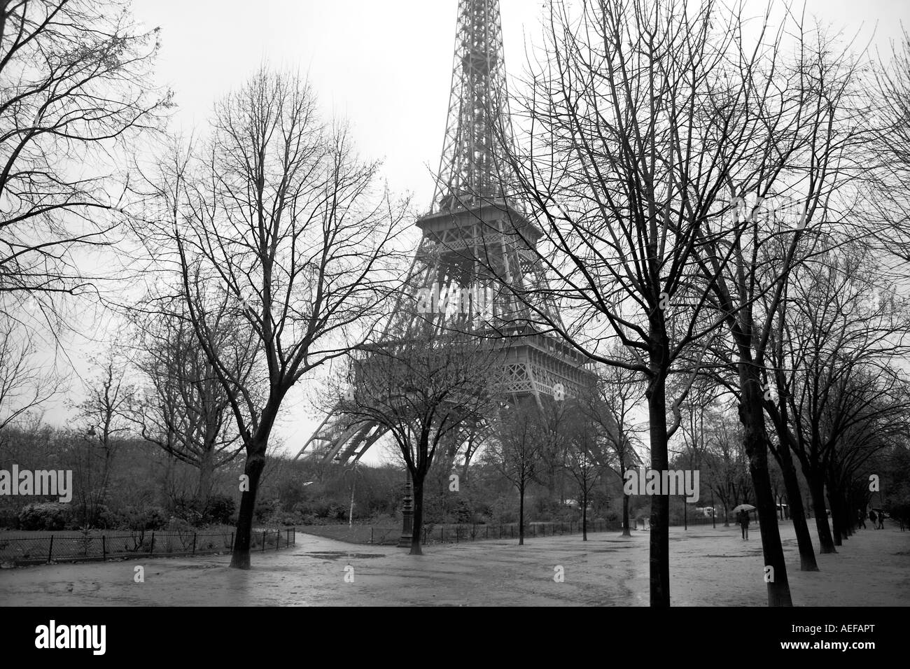 Torre Eiffel Parigi Francia Europa Foto Stock