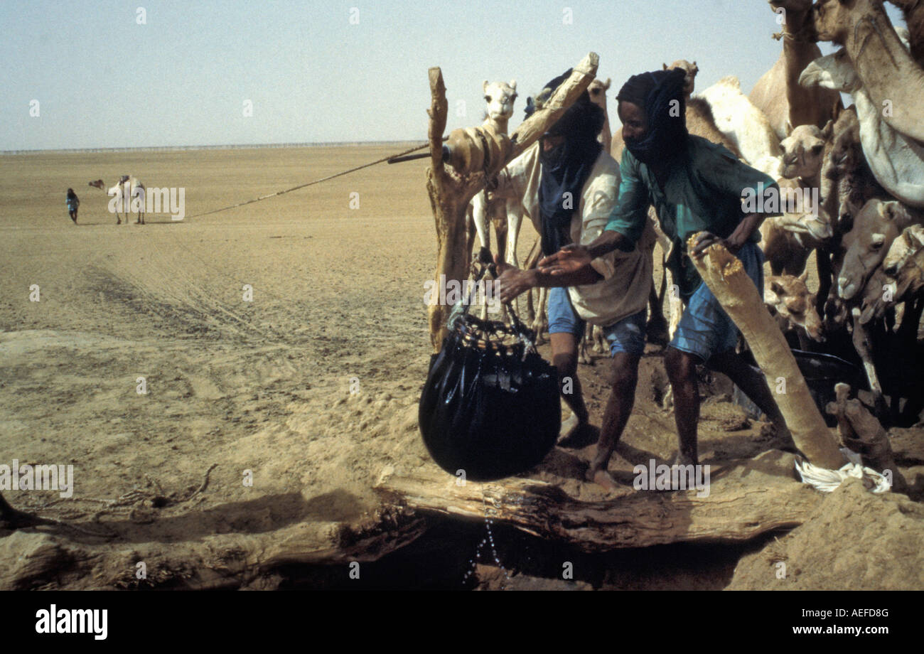 Mali Gao, persone da Touareg tribù nomadi prendere acqua dal pozzo con i cammelli durante la siccità del 1984 e 1985 Foto Stock