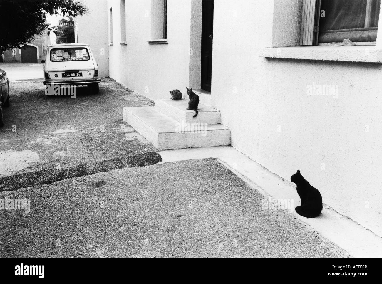 La scena del villaggio di Vic le Gardiole Camargue Francia in 1979 vintage stampa in bianco e nero Foto Stock