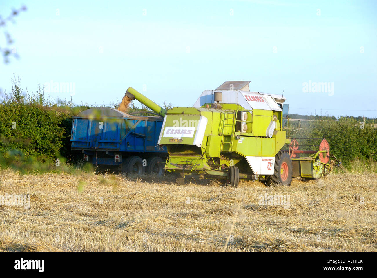 Un agricoltore di lavoro rendendo il fieno mentre il sole splende e raccogliendo il raccolto su un giallo mietitrebbia su agriturismo Foto Stock