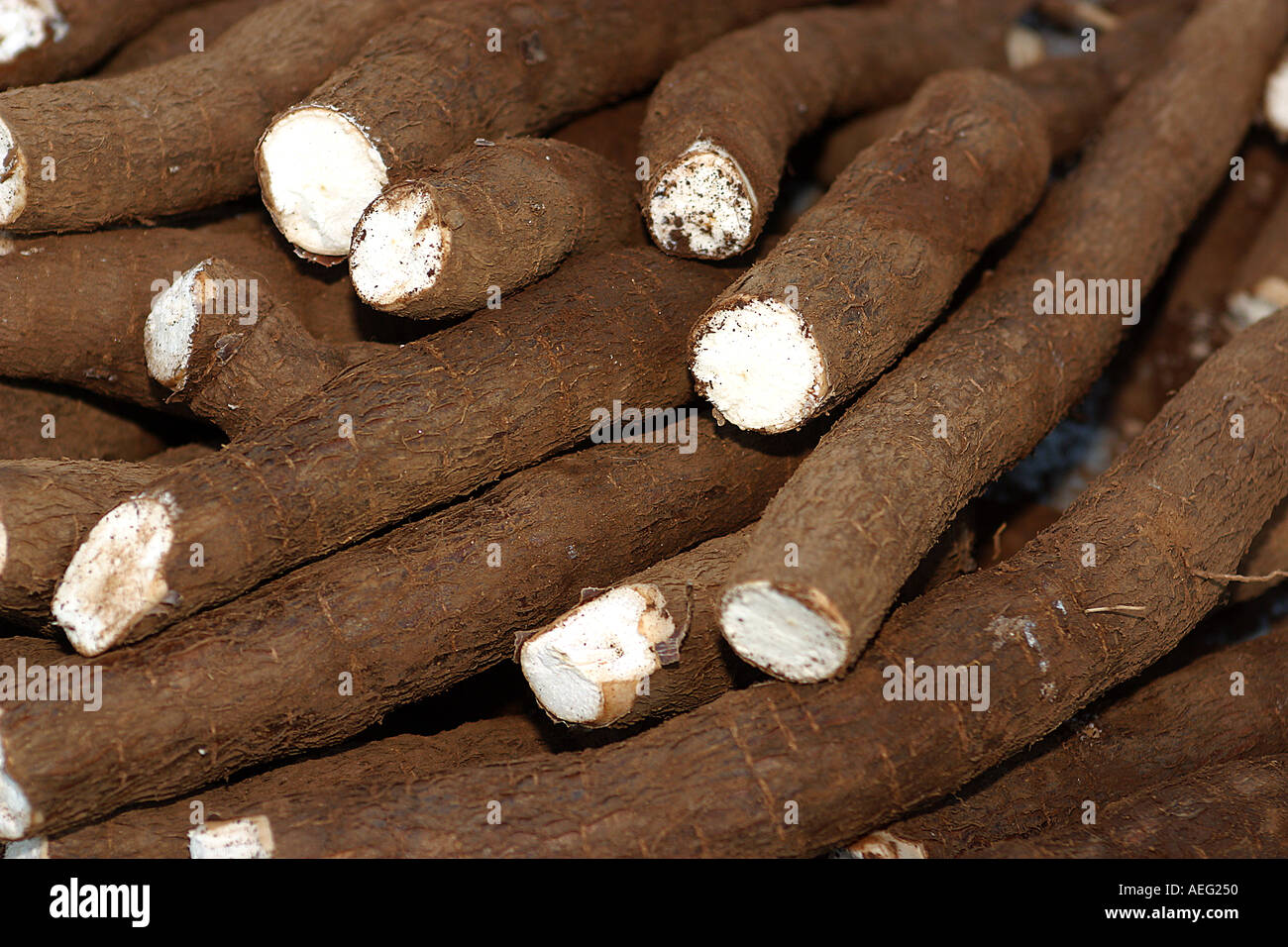 Agricoltura grocerie store tapioca alimento vegetale di carboidrati vegetali pila pila vendita "mandioca" aipim agricoltura mandio Foto Stock