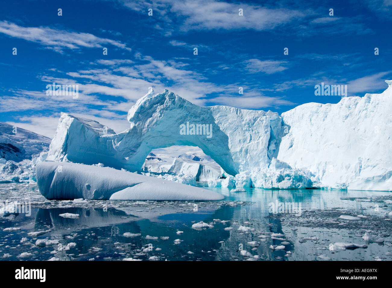 Iceberg galleggianti a ovest Penisola Antartica Antartide Oceano Meridionale Foto Stock
