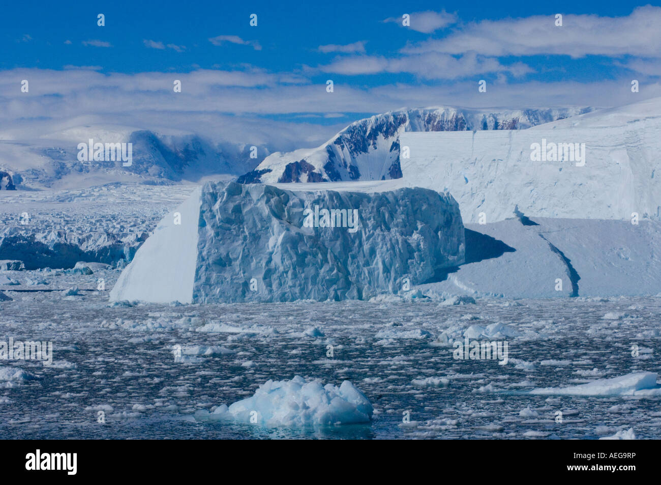 Iceberg lungo la western penisola antartica Antartide Oceano Meridionale Foto Stock