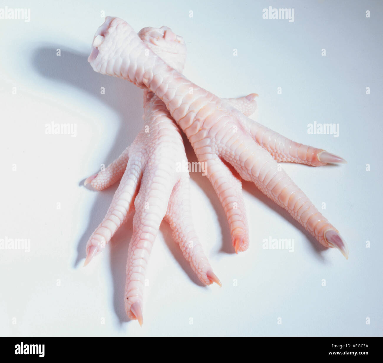 Cibo piedi piedi dita artiglio artigli taloni talons " Anatomia lordo di pollo pollo s chiodo stufato zampe paw stropicciata pallido carne alimentare Foto Stock