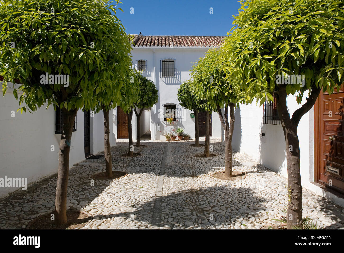 Street con arancio nella tipica città andalusa di pueblo Lopez fuengirola Malaga Costa del Sole Andalusia Spagna Foto Stock