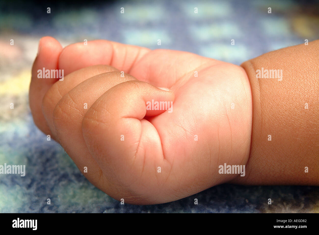 Baby s mondo baby s dita giacente piccolo grazioso rosy pugno polso mano letto dorme appoggiato persona persone kid bambino baby Foto Stock