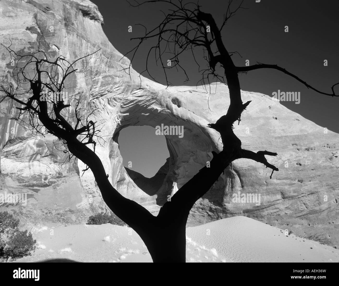 Fine del vento Arch con morti stagliano tree Monument Valley Arizona Foto Stock